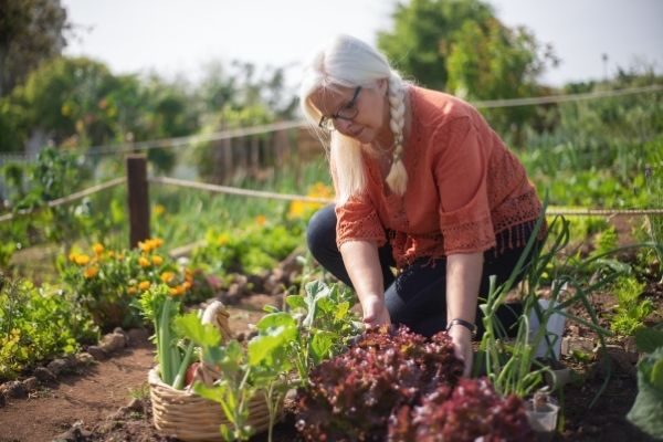 gardening: hobby examples for females list