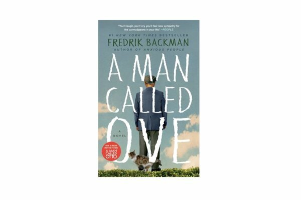 A Man Called Ove; beginner novels