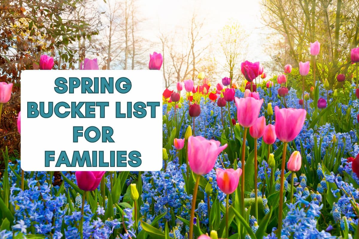 105 Fresh Spring Bucket List Ideas for Families in 2024