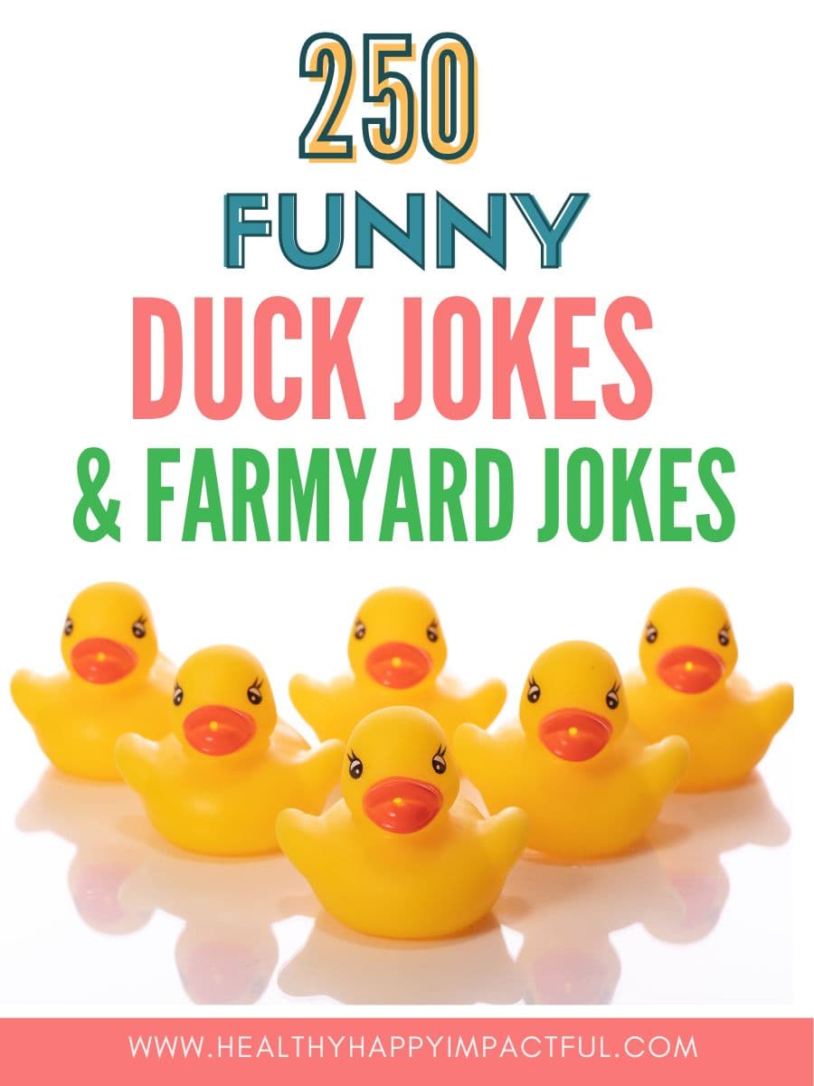 title pin; duck and funny farm animal jokes