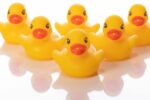 featured image; funny duck jokes; farmyard