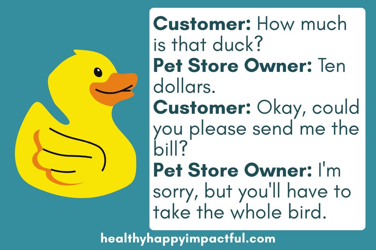 clean duck puns and good jokes