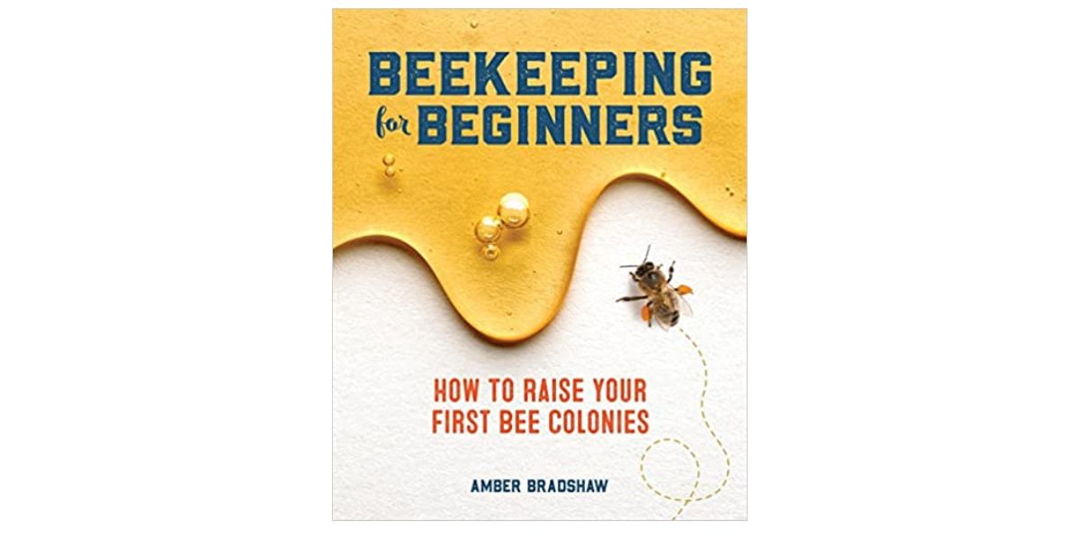 Beekeeping: outdoor hobbies to read about