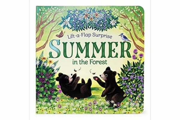 43 Best Summer Books For Kids in 2026 (Great Reading Book List)