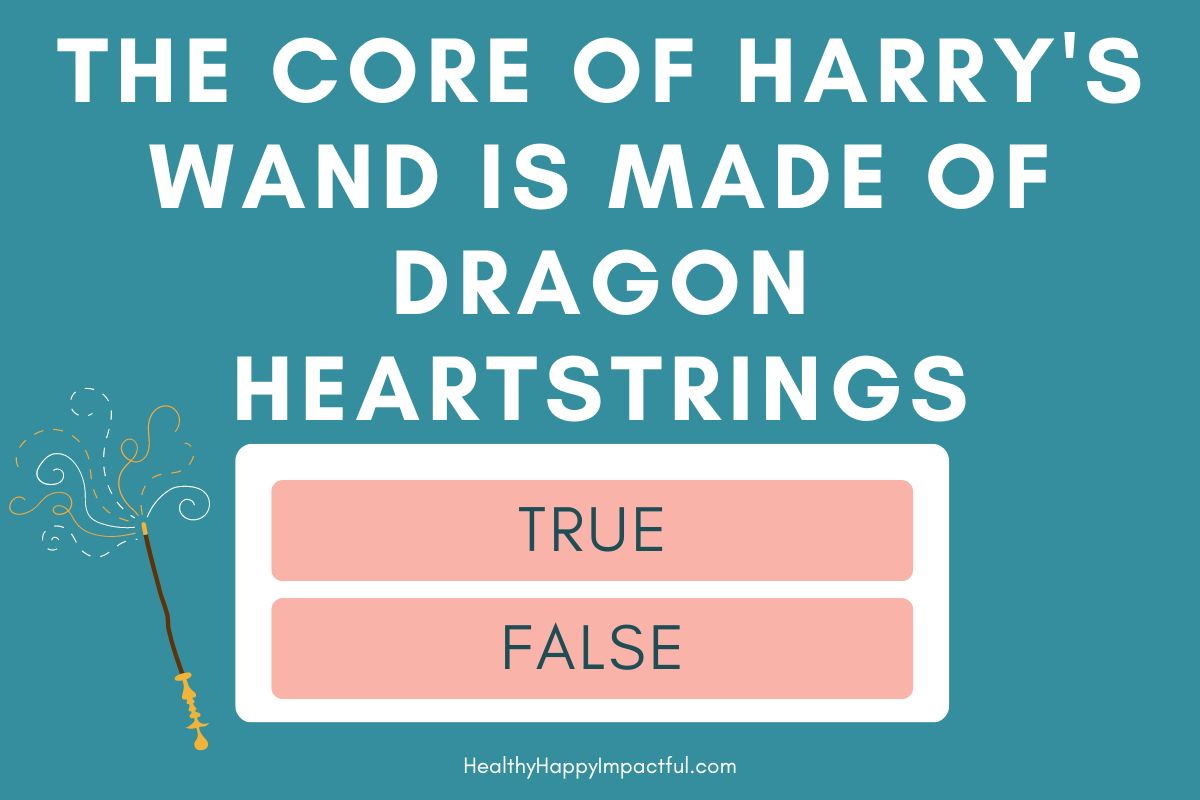 True or false Harry Potter trivia