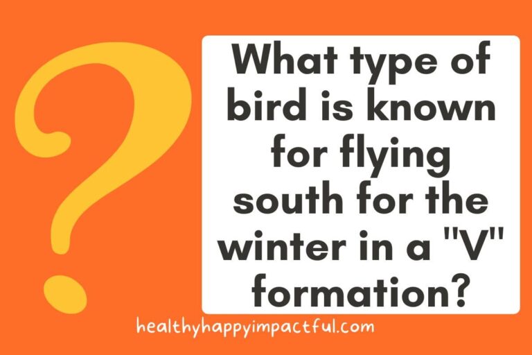 140 Best Fall Trivia Questions (and Answers) In 2026