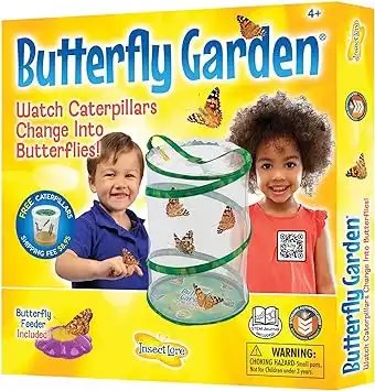 Painted Lady Butterfly Kit Habitat, STEM Journal, & Voucher for Chrysalis Log & Caterpillars Grow Your Own Butterfly Kit