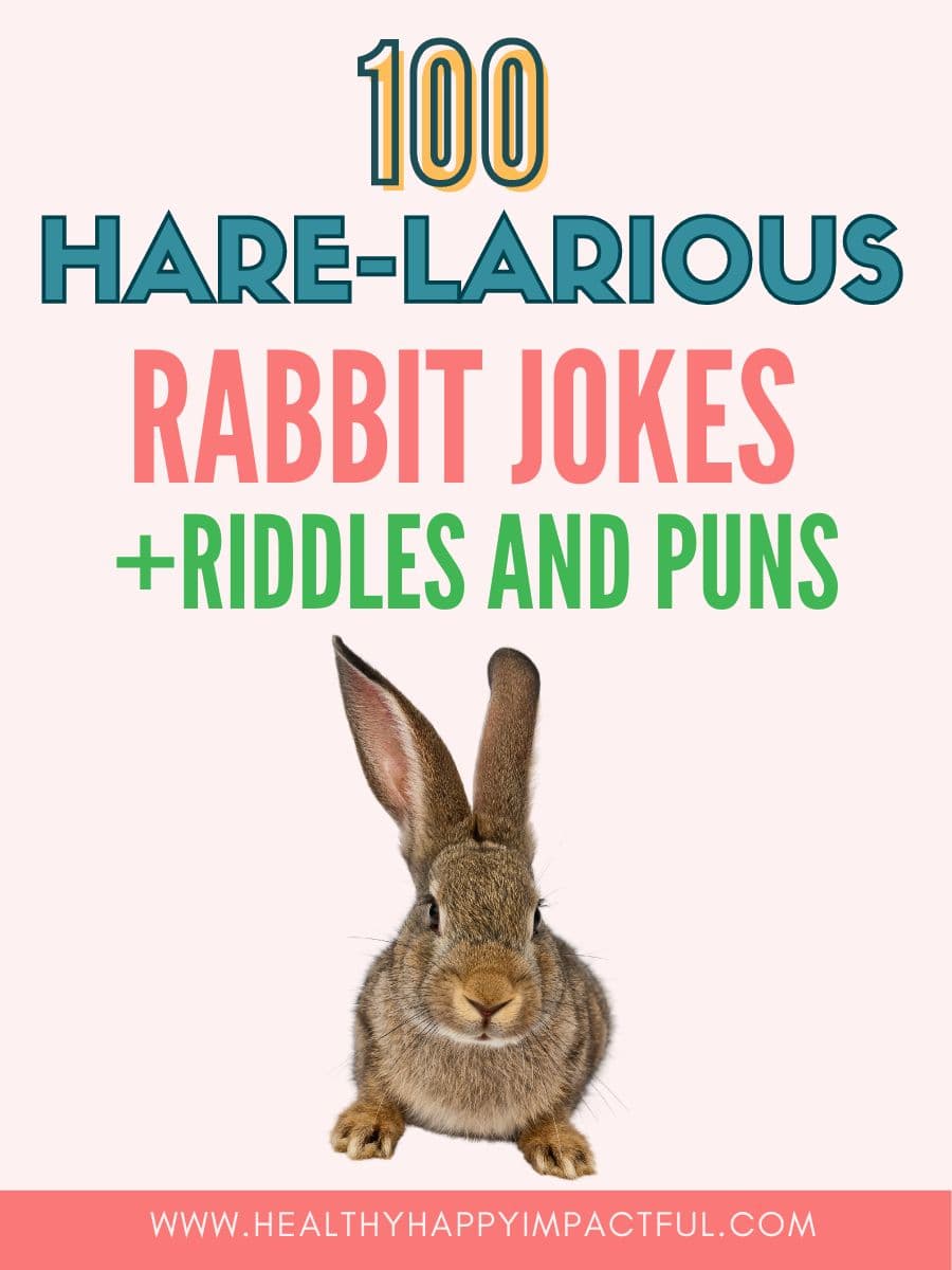 funny bunny rabbit knock knock jokes for kids; best; easter; unique; dad