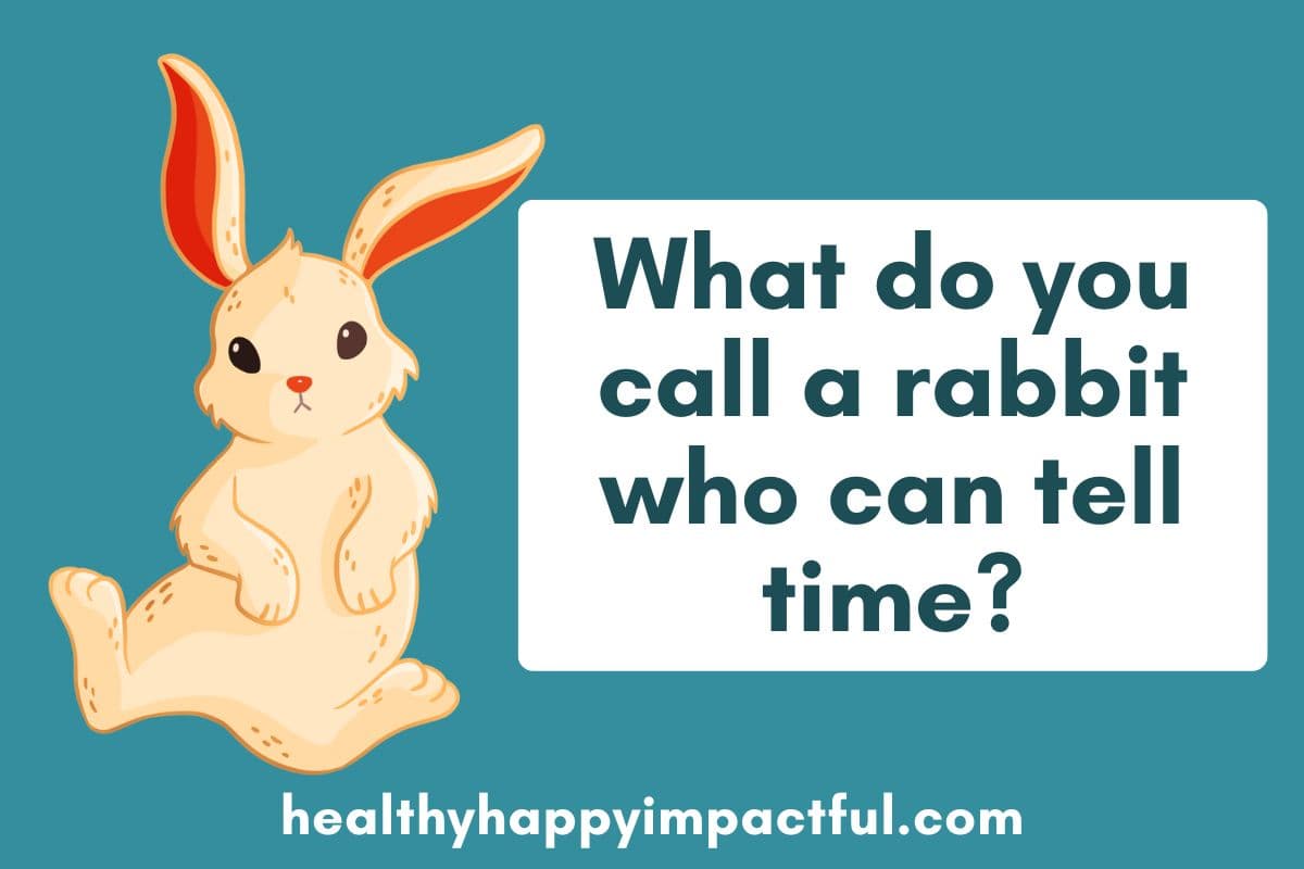 funny jokes about rabbits for kids, great for Easter