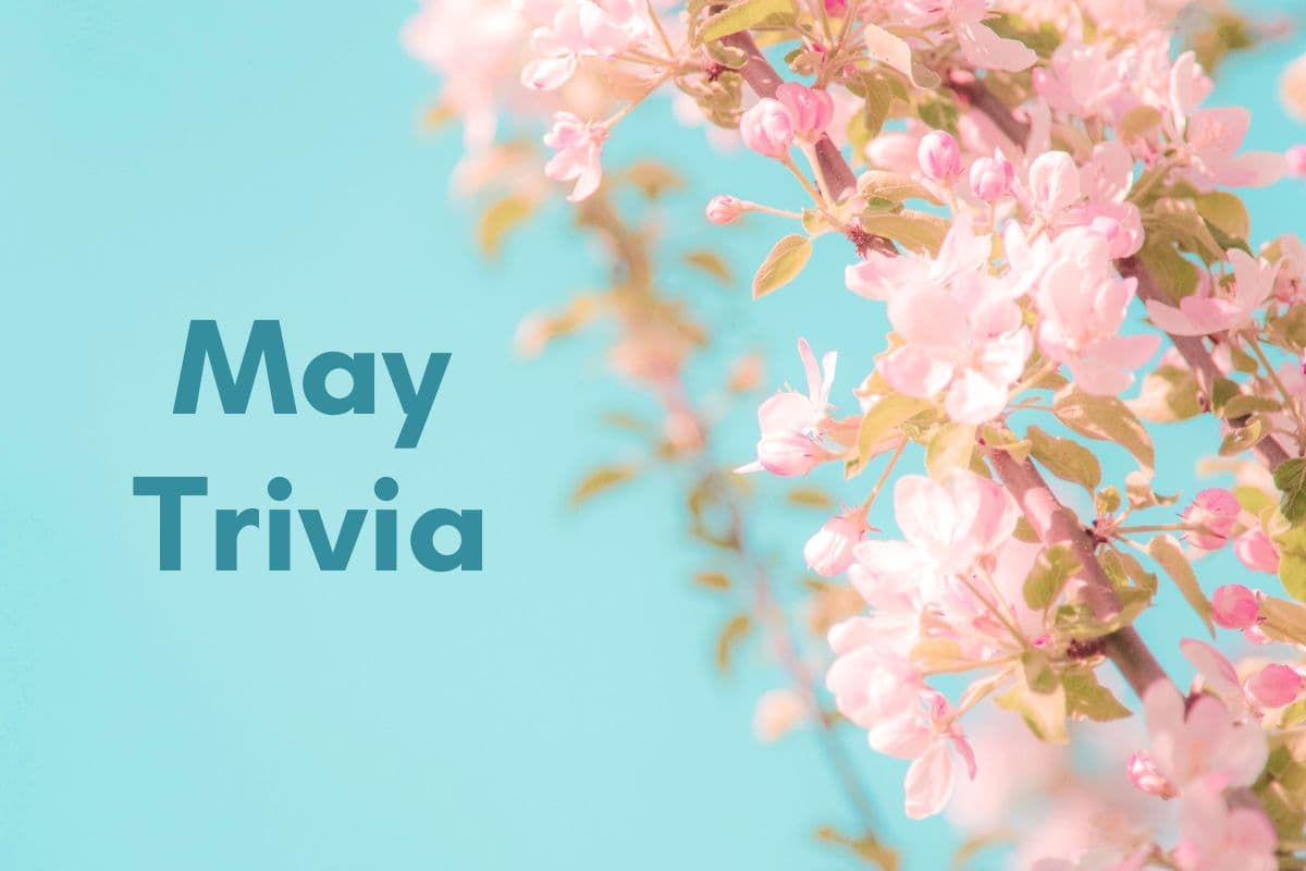 May trivia questions and answers featured image of flowers