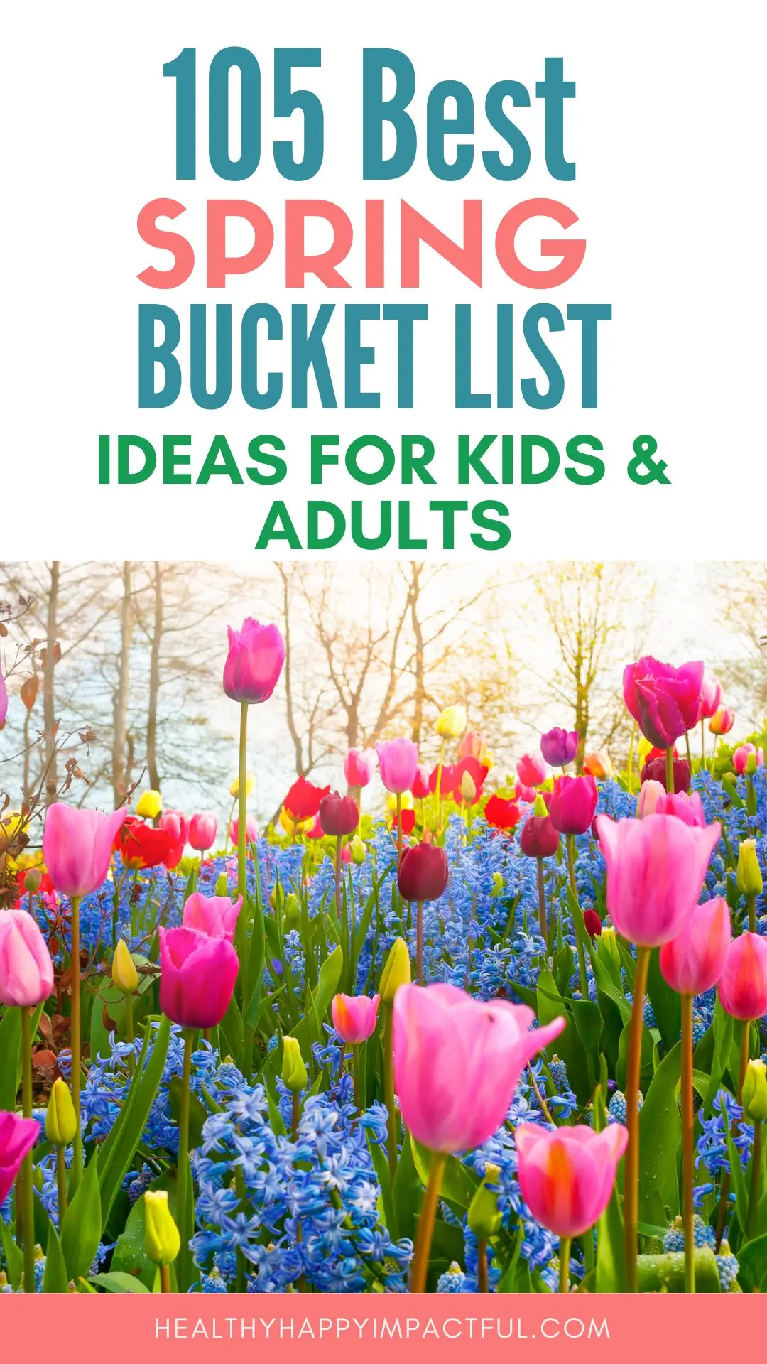 the best spring bucket list for kids and adults in 2025