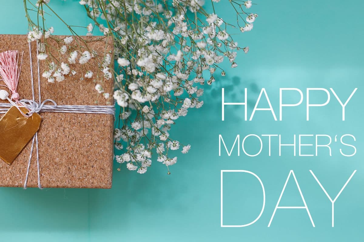 Funniest Mother’s Day Video: The Perfect Mother