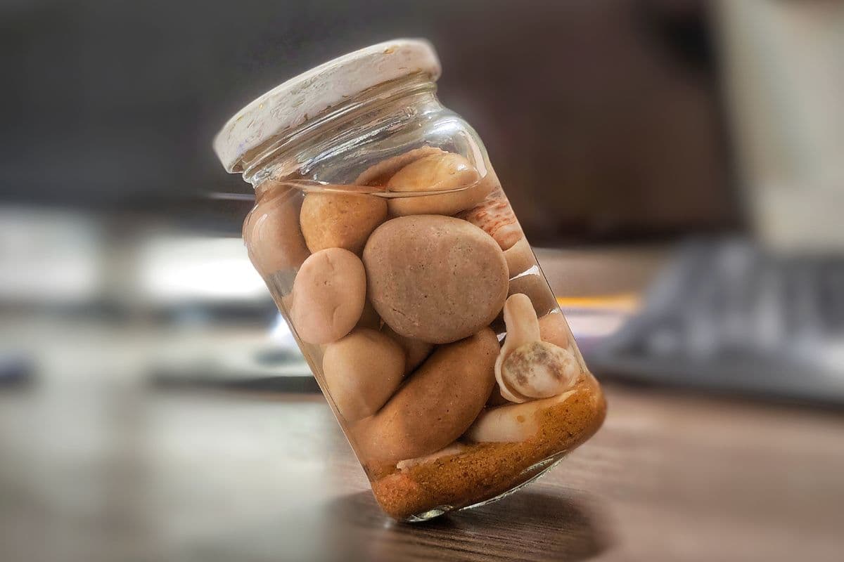 Rocks, Pebbles, and Sand: Prioritizing Your Life