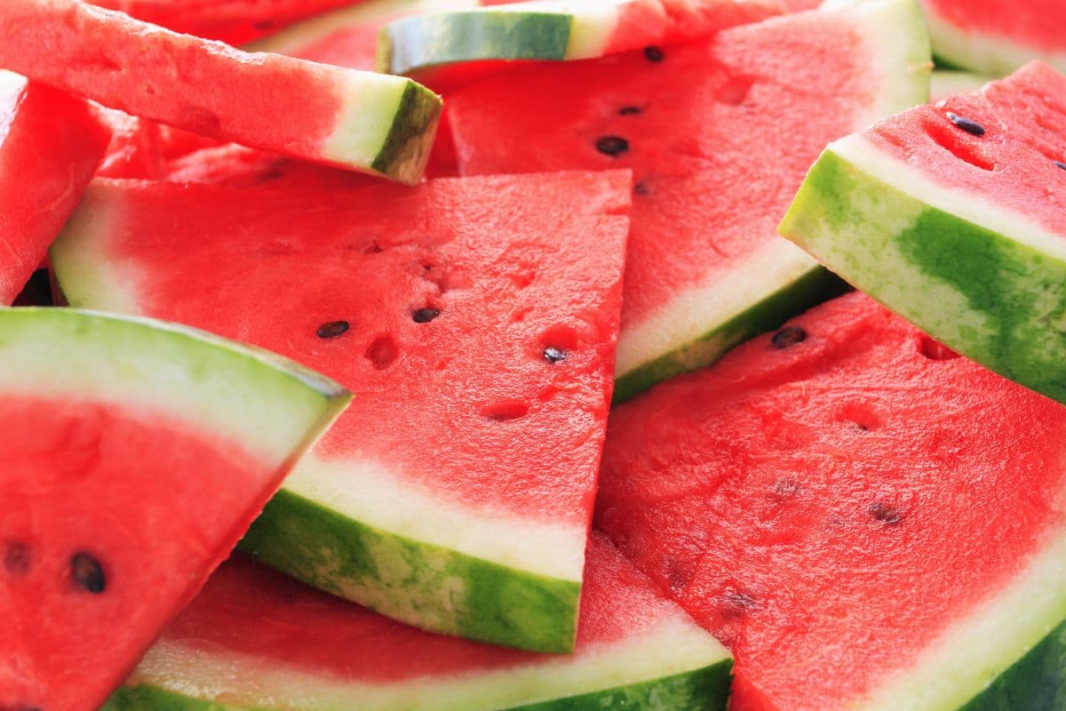 Mastering Happiness & Success: The Watermelon Lesson