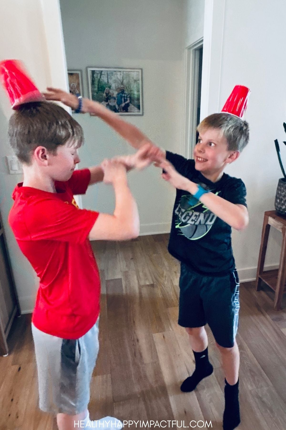 fencing with plastic cups