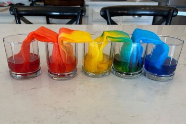 20 Easy And Fun Science Experiments For Kids Of All Ages in 2026