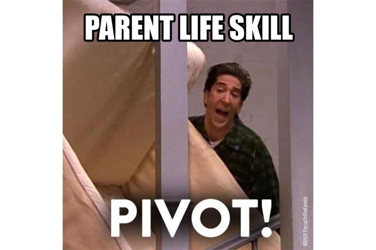 Pivot Friends meme