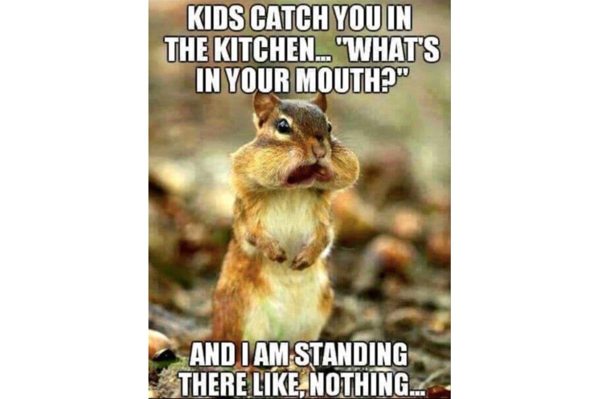 funny memes about kids and parenting