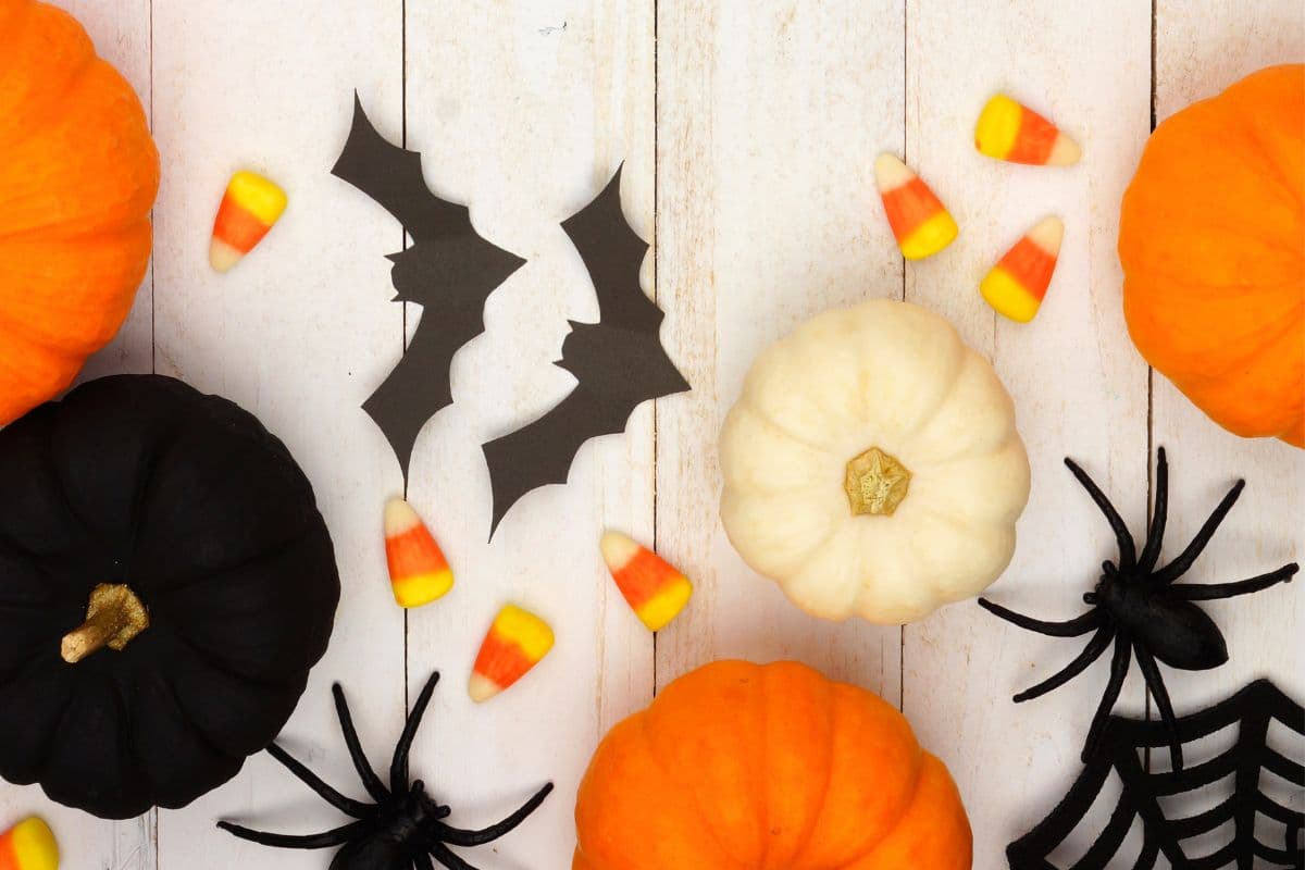 pumpkins, candy corn, bats, spiders