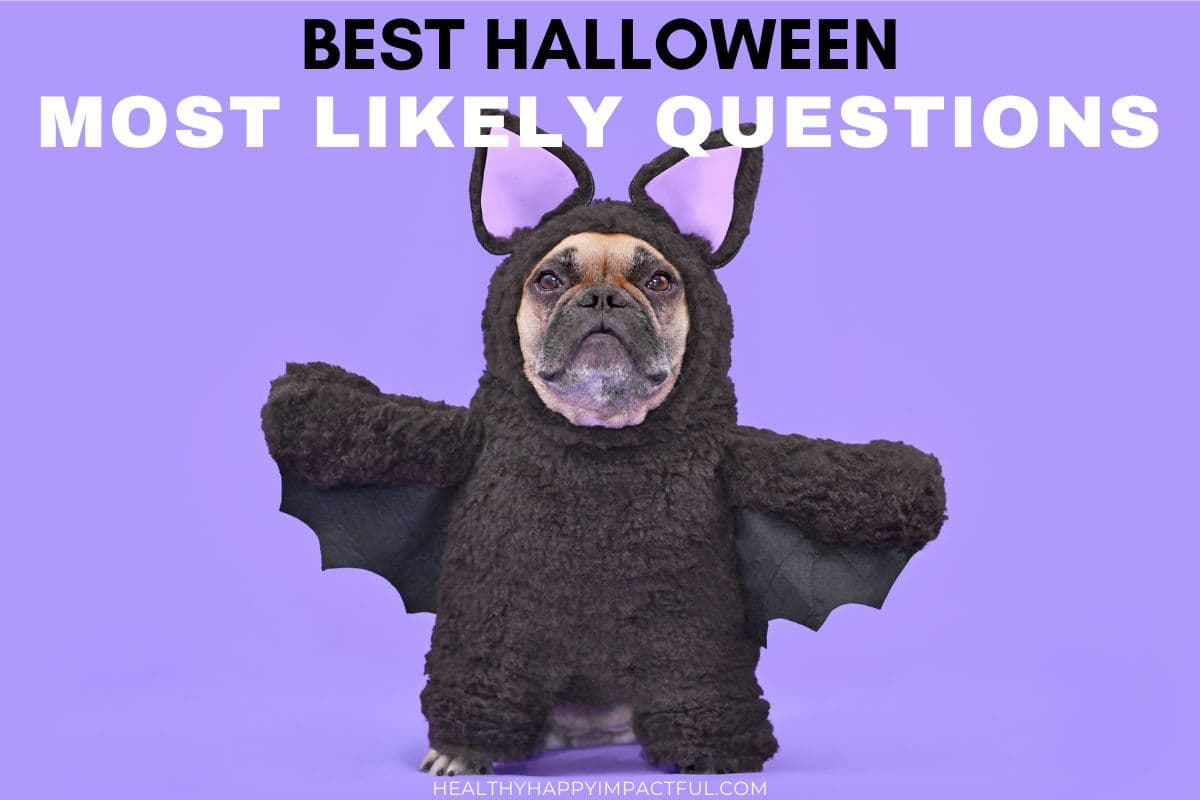 featured image of Halloween dog dressed as a bat