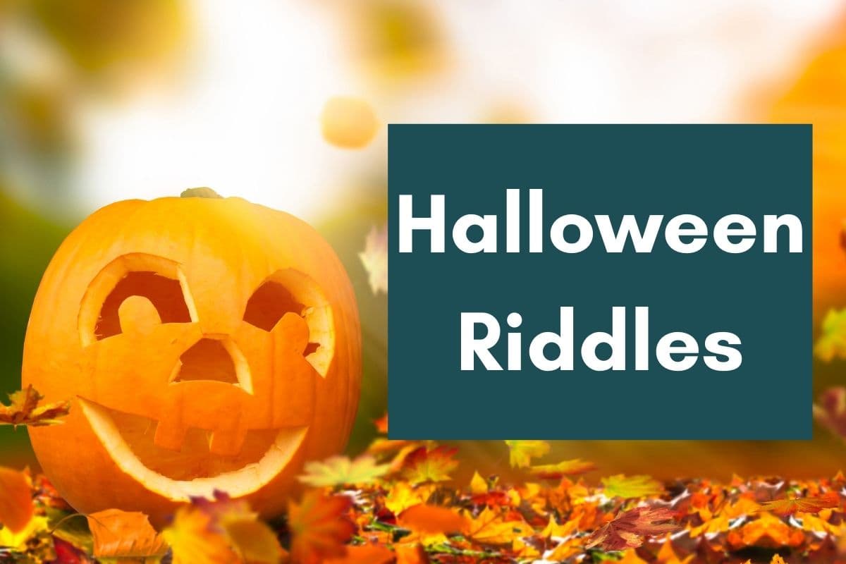 fun Halloween riddles and jokes for kids and adults