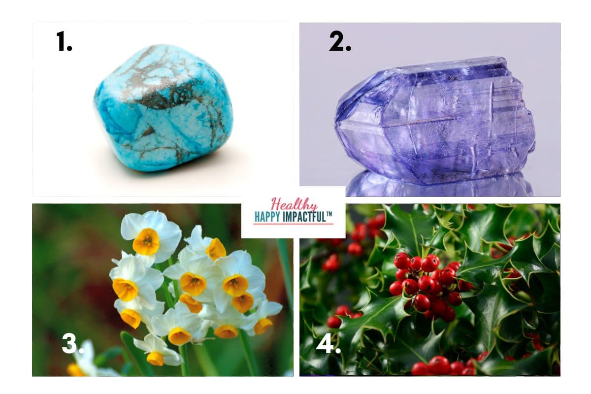 December symbols picture round quiz; birthstone