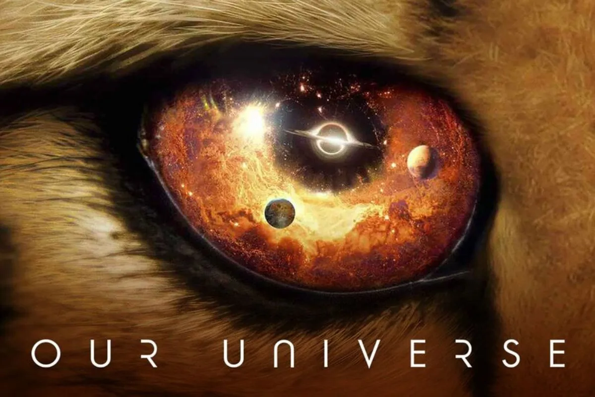 our universe