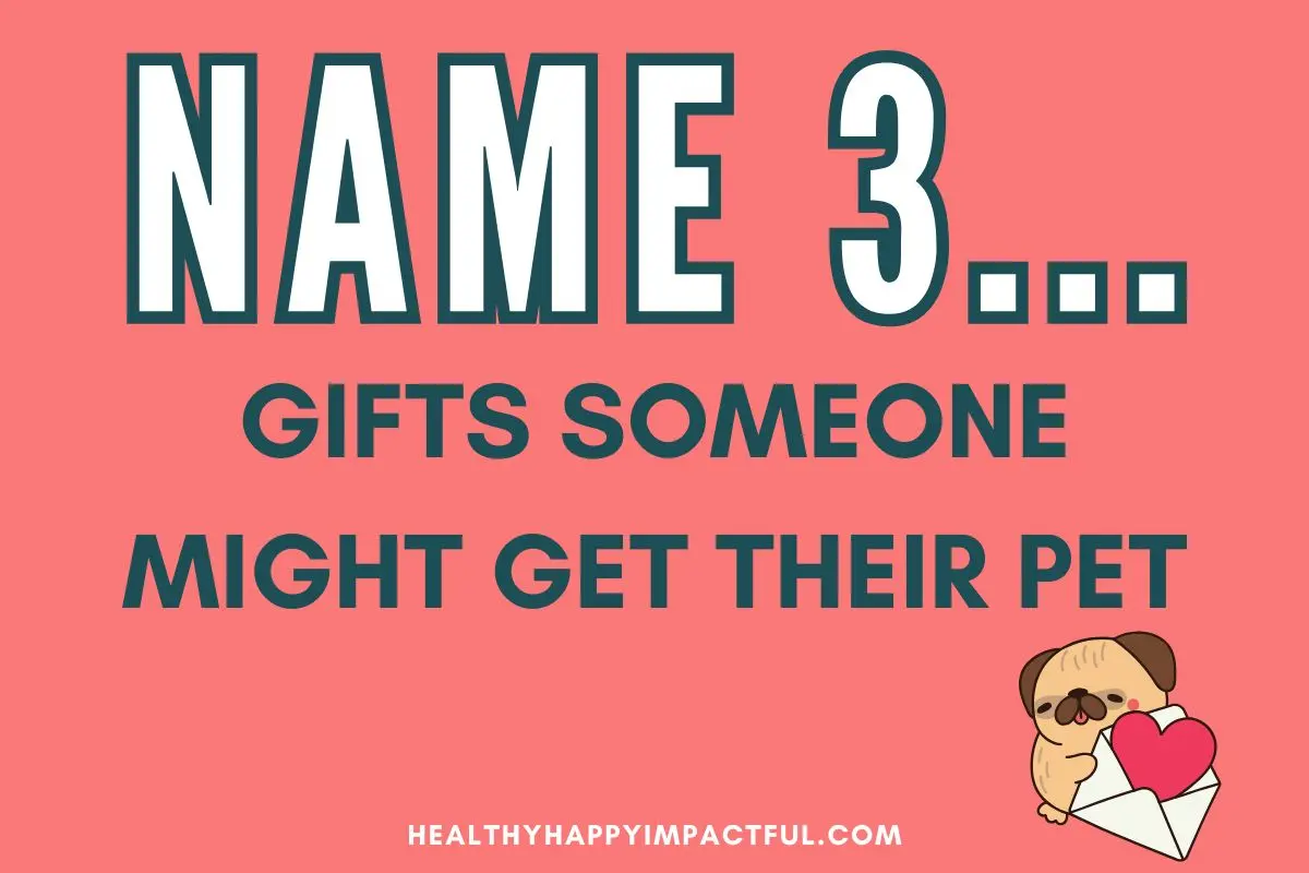 name 3 gifts someone might get their pet