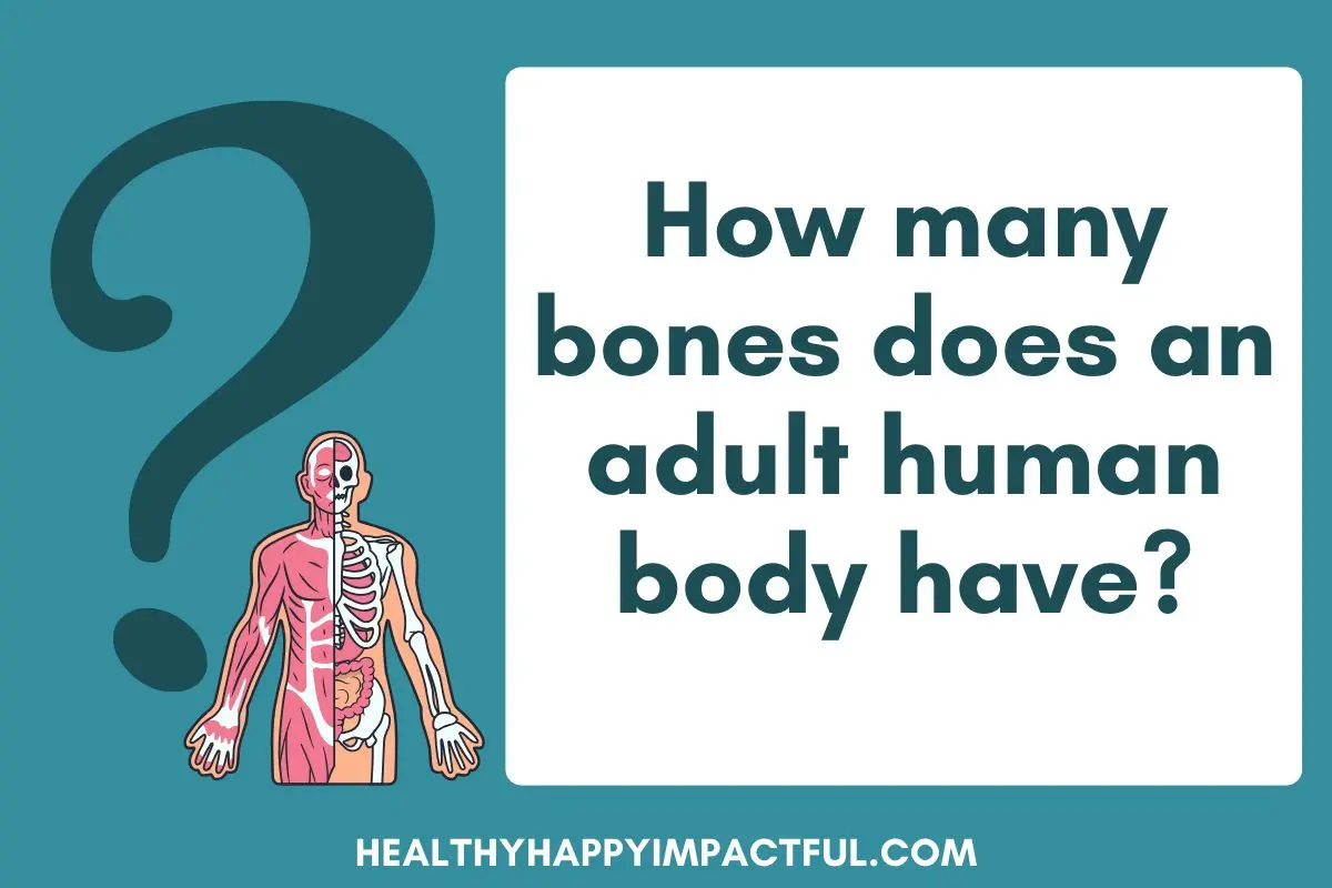 human body hard and easy science trivia