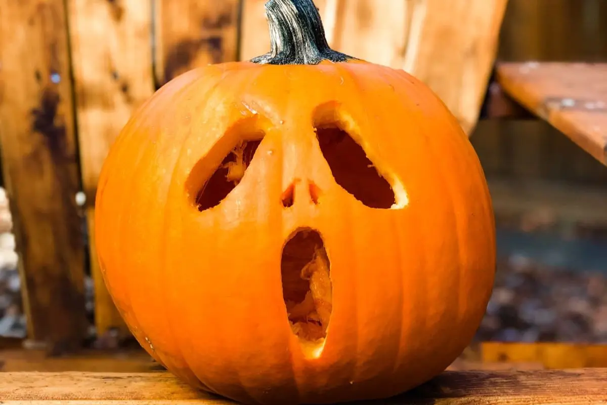 6 result pumpkin carving ideas ghost face