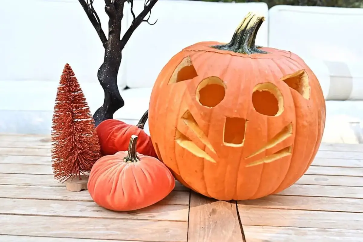 9 result pumpkin face carving ideas, cat