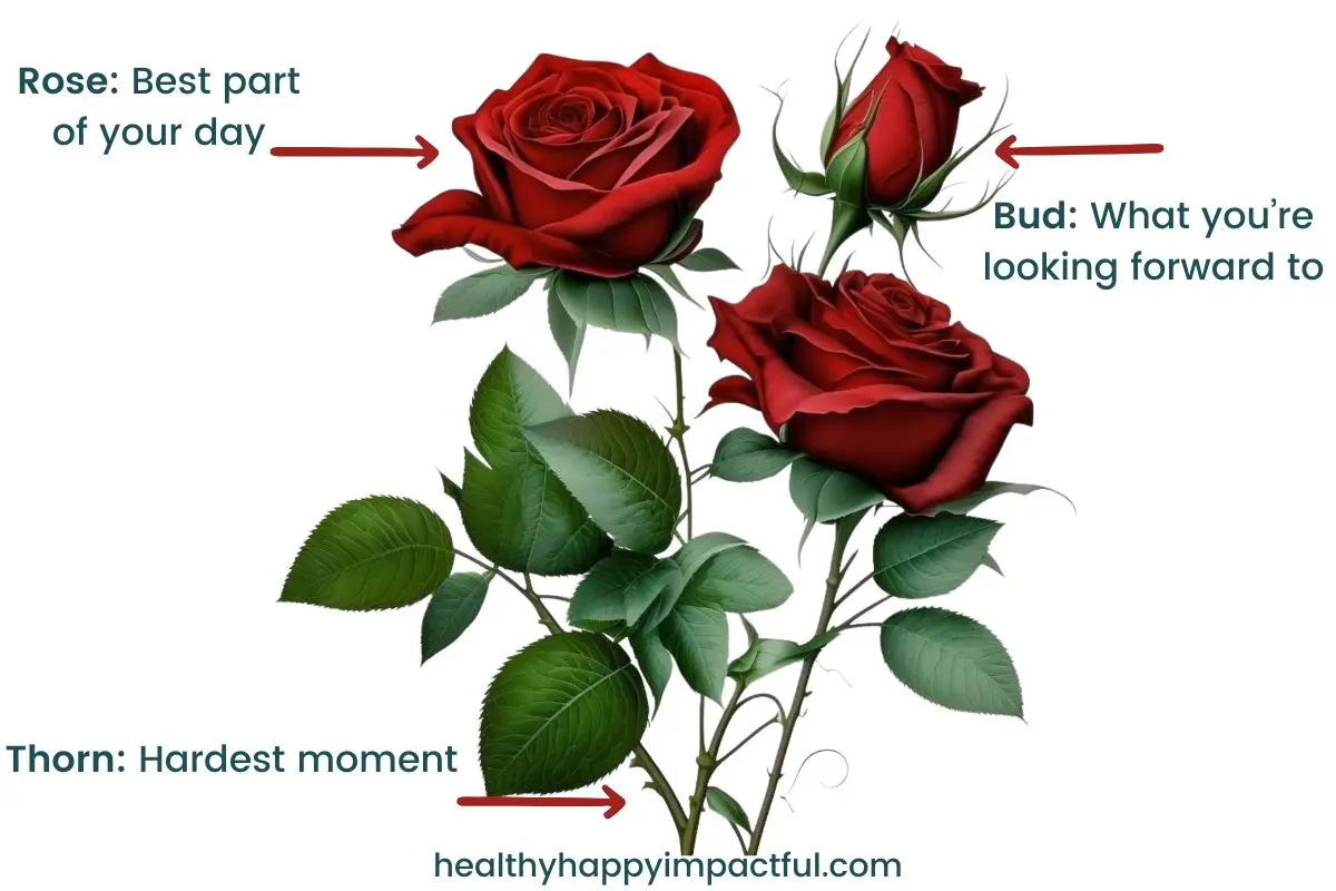 rose bud thorn family ritual for after dinner