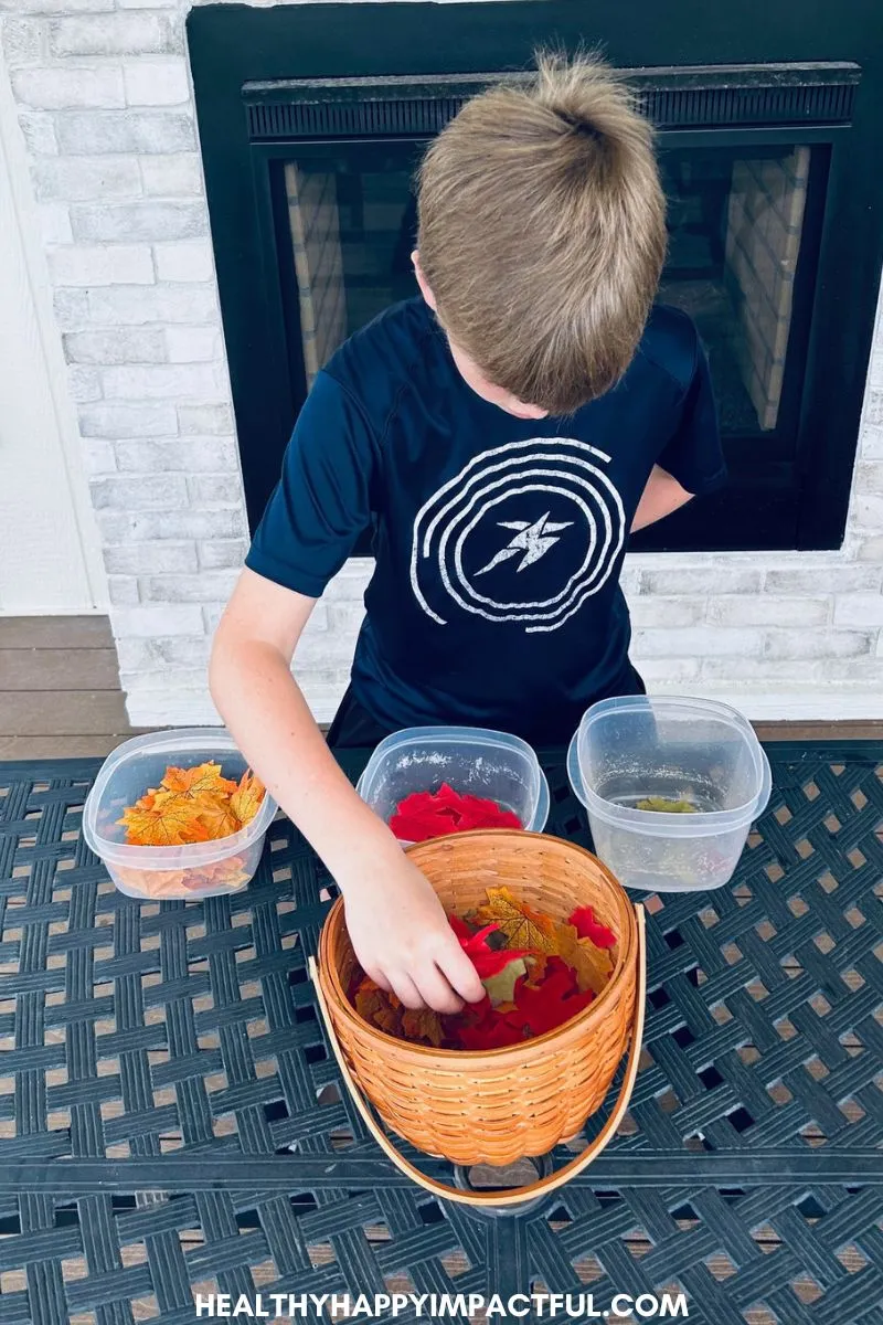 leaf sorting; fall activities and games