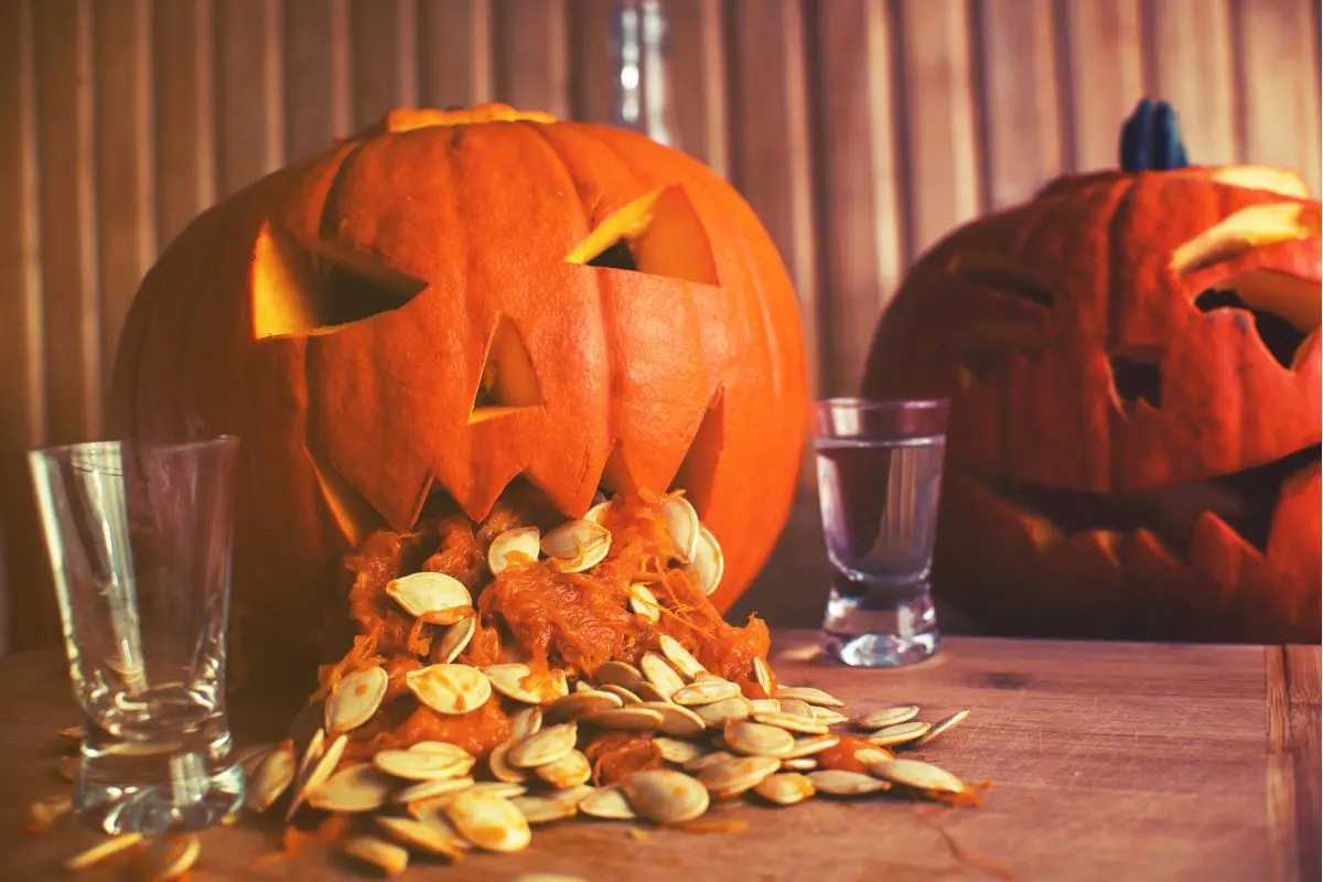 pumpkin carving ideas result puking pumpkin