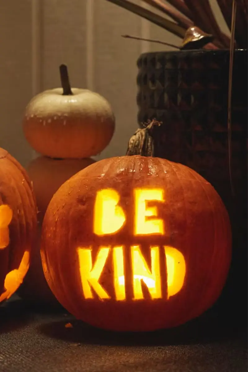 pumpkin faces 1 result Be kind