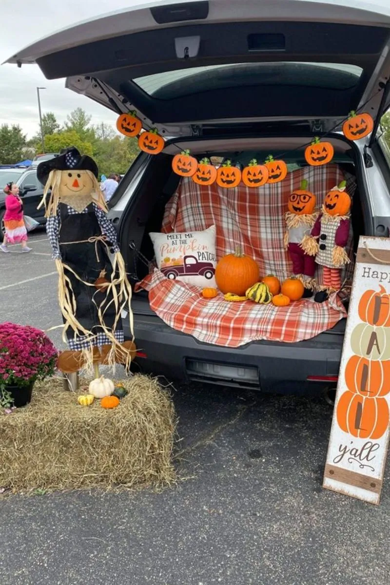 pumpkin patch