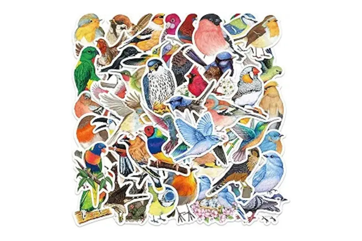 bird stickers
