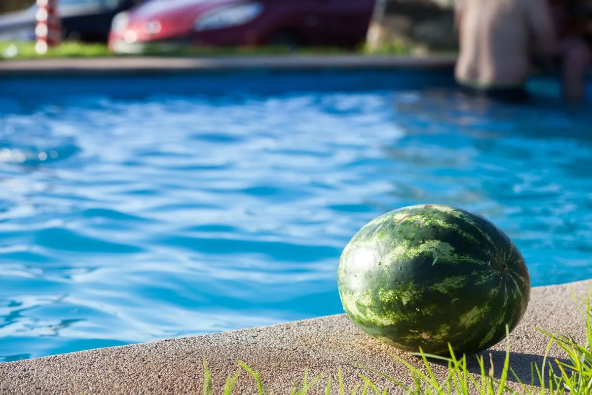 watermelon push relay