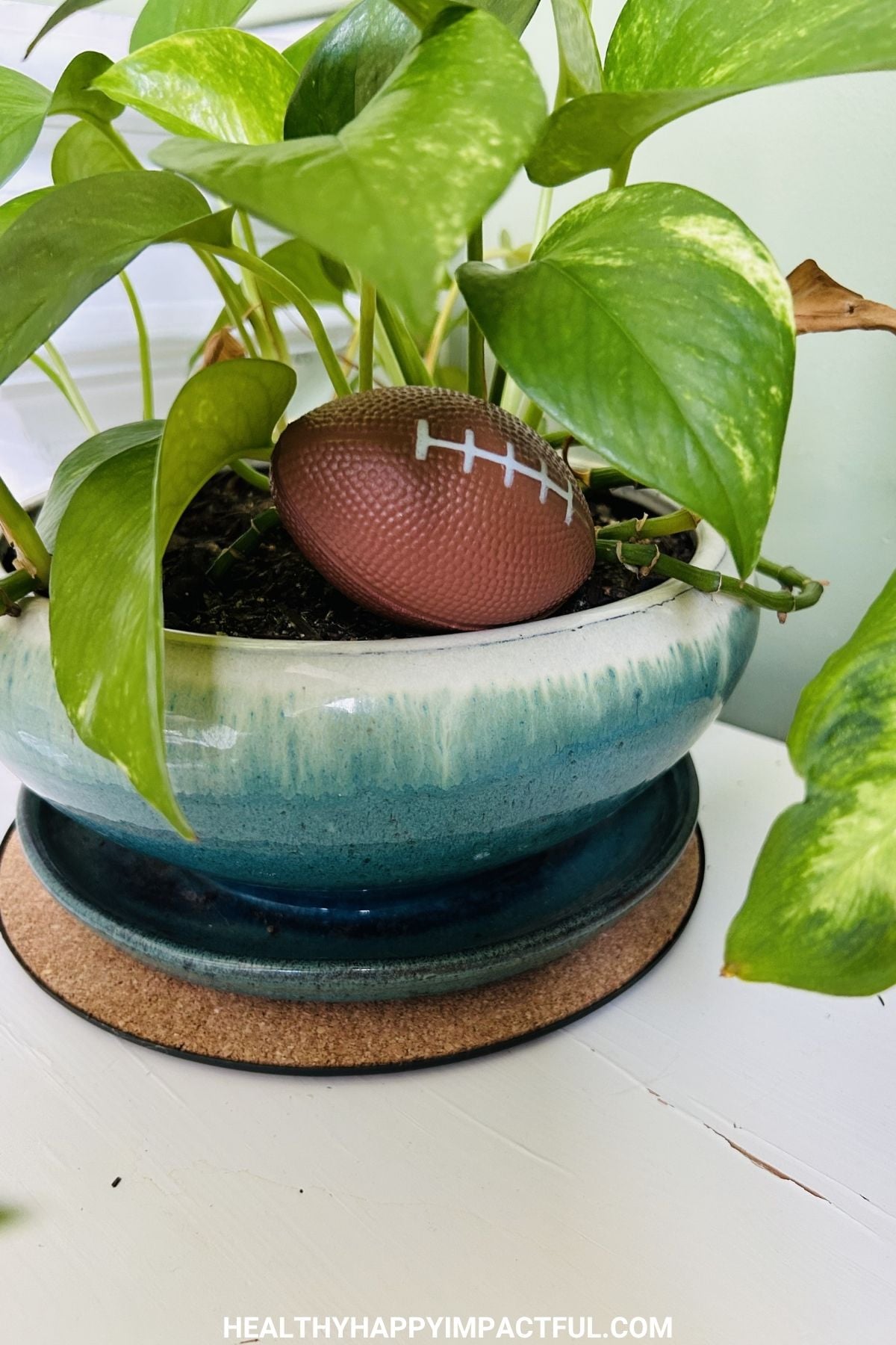 football in a plant