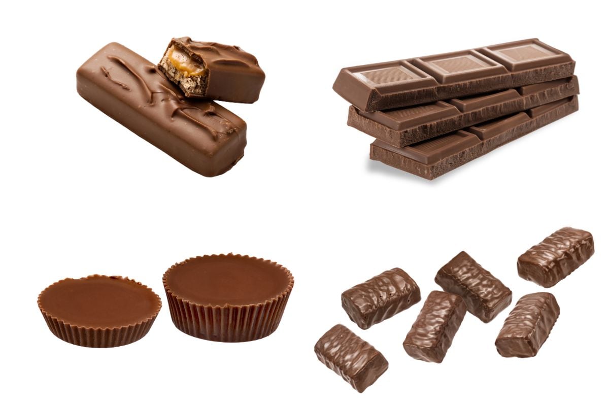 chocolate bars