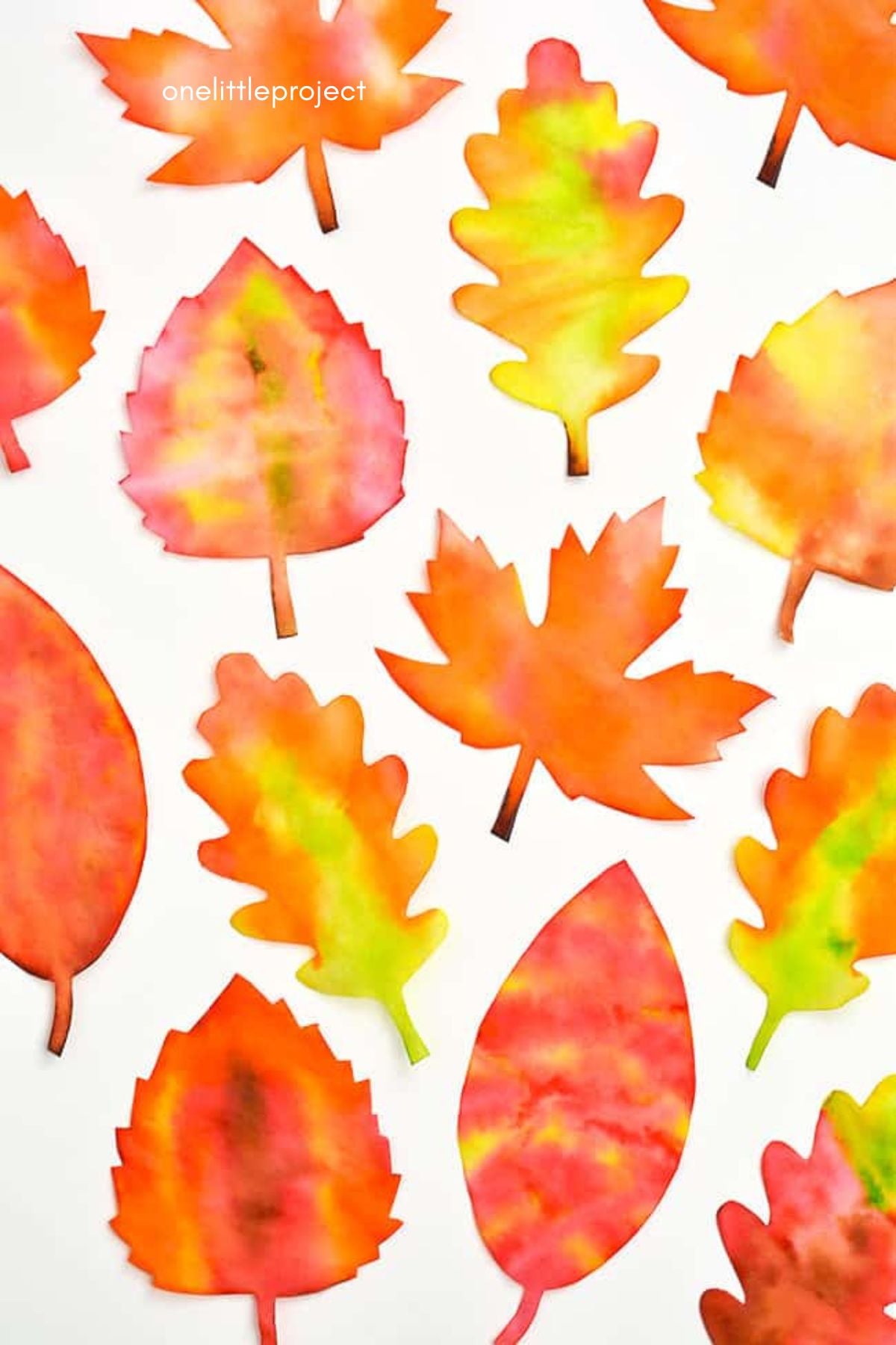 coffee filter leaf craft