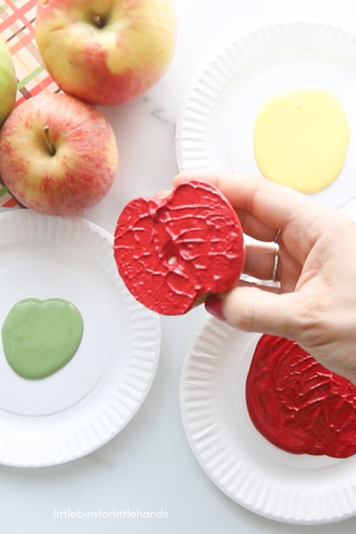 apple stamping fall thanksgiving craft